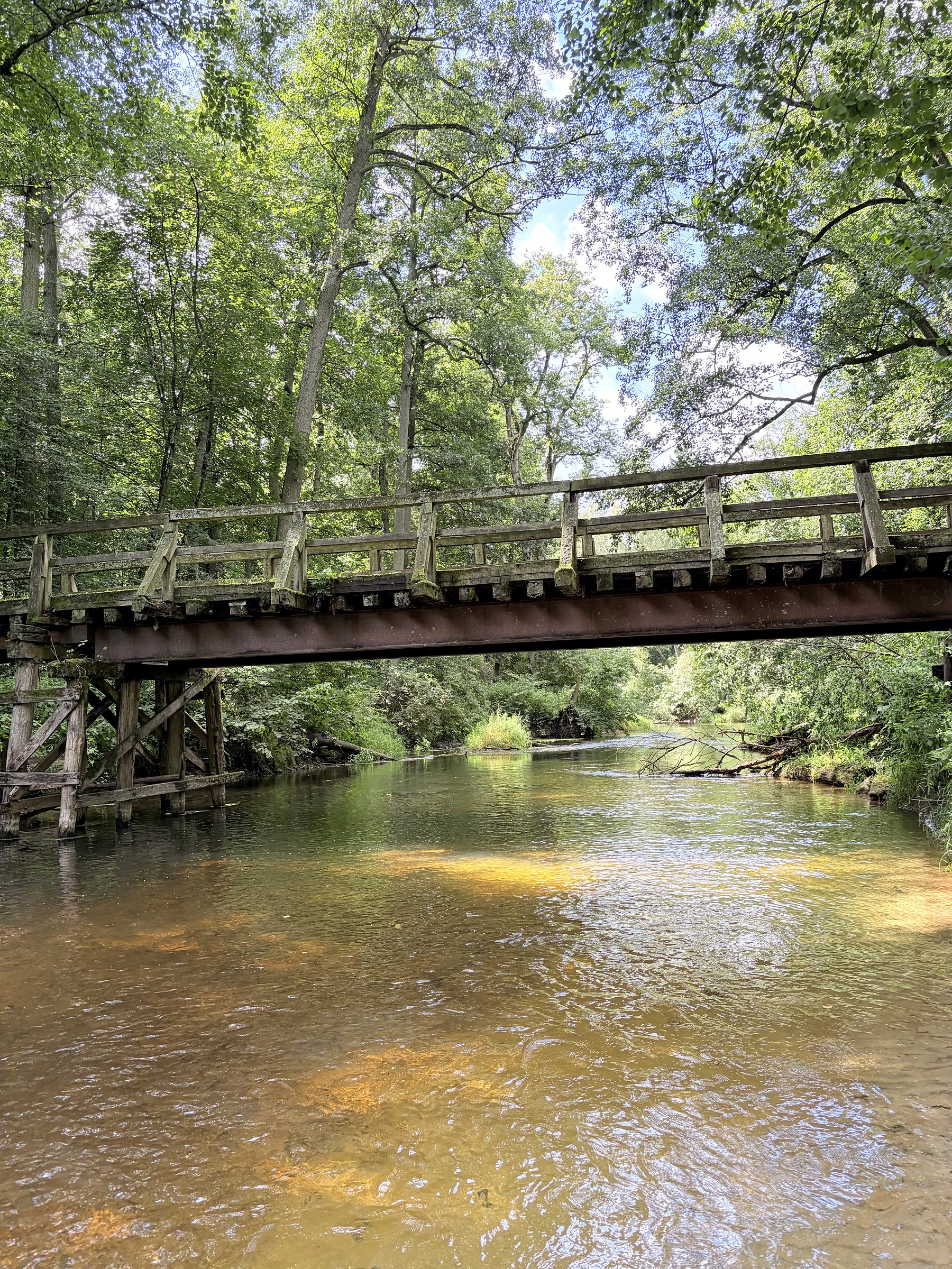 Drewniany most nad Skrwą Prawą